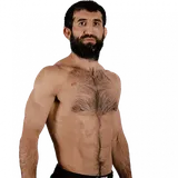 Rasul Mirzaev