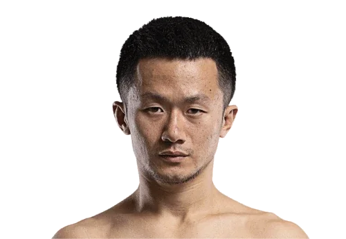 Yang Fei