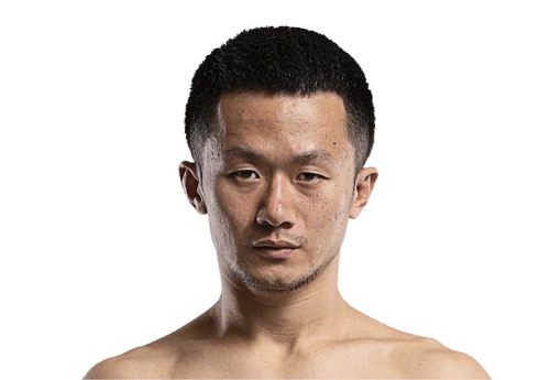 Yang Fei