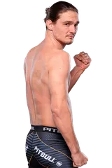 Predrag Bogdanović