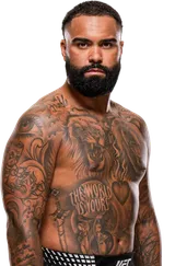 Gable Steveson