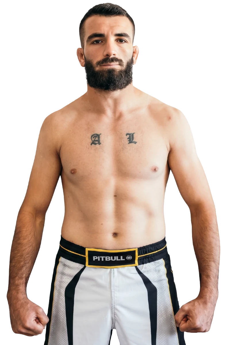 Rafael Aronov