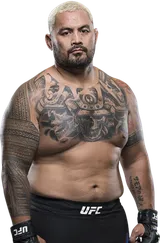 Mark Hunt