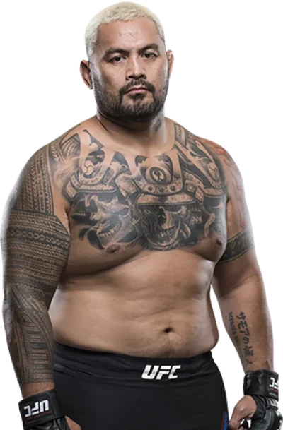 Mark Hunt
