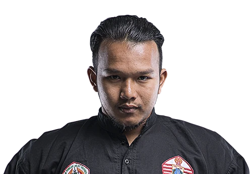 Hendri Fardli