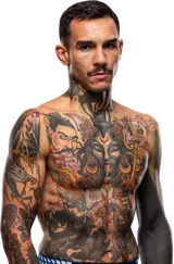 Andre Fili
