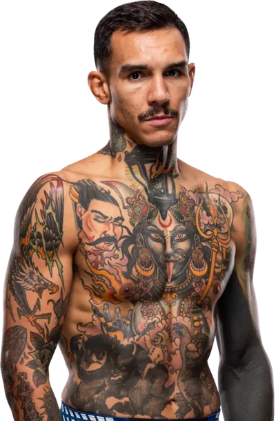 Andre Fili