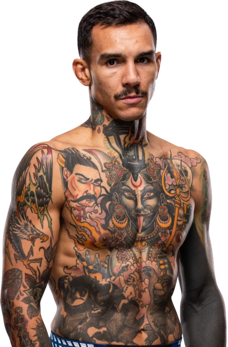 Andre Fili