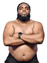 Terry Williams