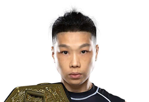 Xiong Jing Nan