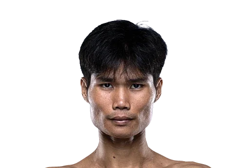 Ngoc Phu Nguyen