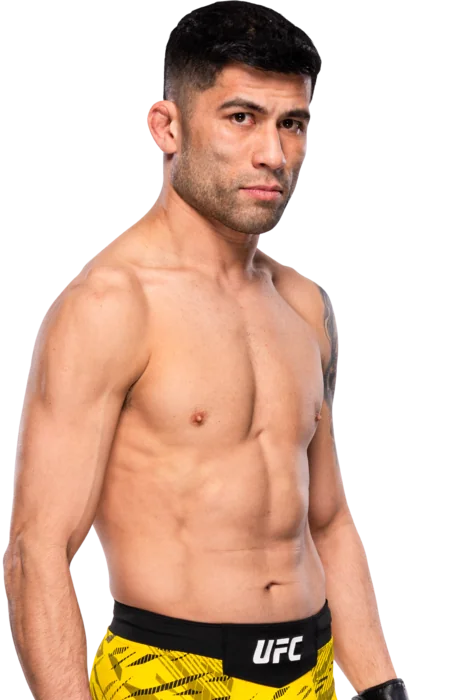Hyder Amil