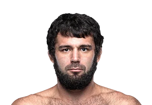 Shamil Erdogan