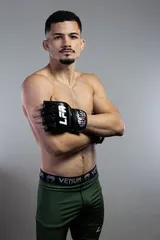 Apollo Gomes