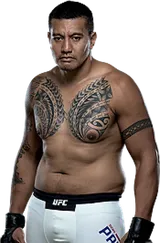 Soa Palelei