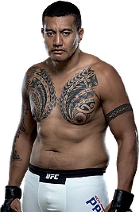 Soa Palelei