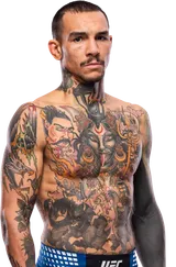 Andre Fili