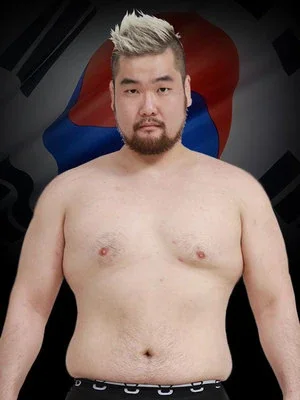 Hye Seok Son