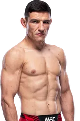 Damir Hadzovic