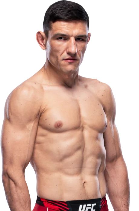 Damir Hadzovic