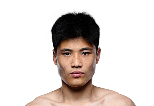 Wang Penghui