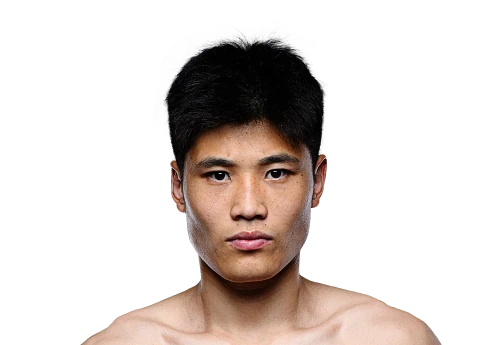 Wang Penghui