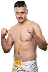 Nermin Hajdarpašić