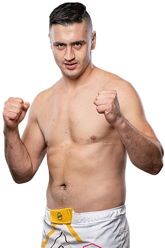 Nermin Hajdarpašić