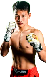 Qinghe Zhang