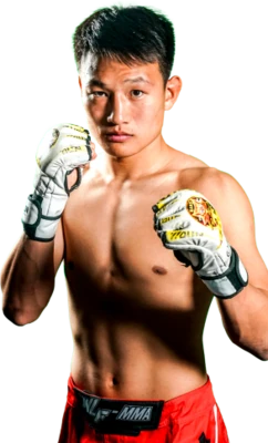 Qinghe Zhang