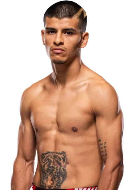 Nilson Rojas