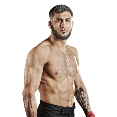 Valeriu Mircea