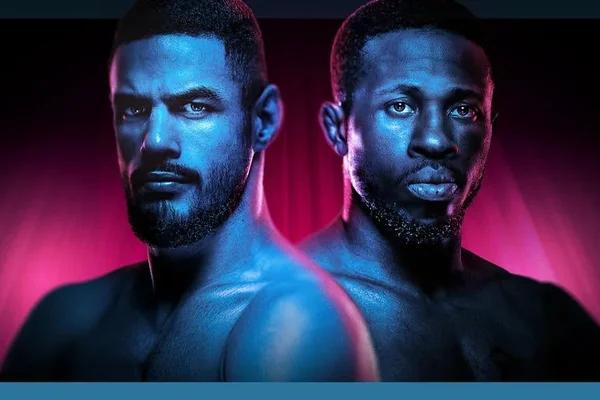 UFC Fight Night: Bonfim vs Brown