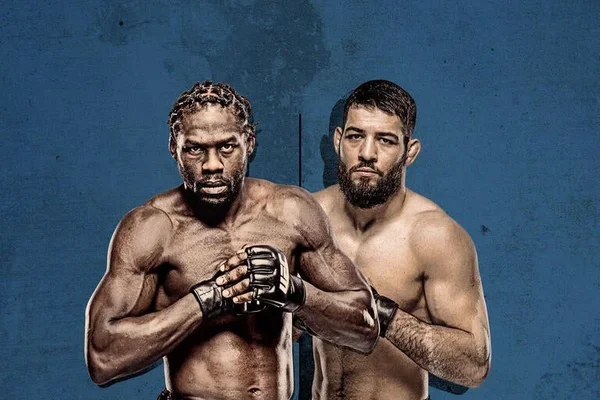 UFC Fight Night: Cannonier vs Imavov
