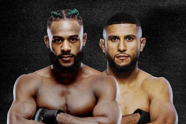 UFC Fight Night: Sterling vs Zalal